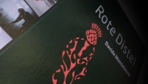 rotedistel2